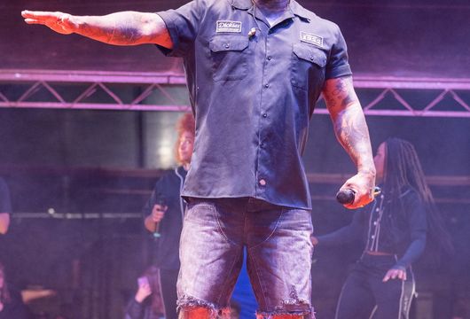 Descrição da Imagem 1